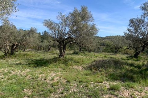 Landejendom i Tortosa, Tarragona, Tortosa - € 139.000 | Ref: Tor9079fra - foto 25